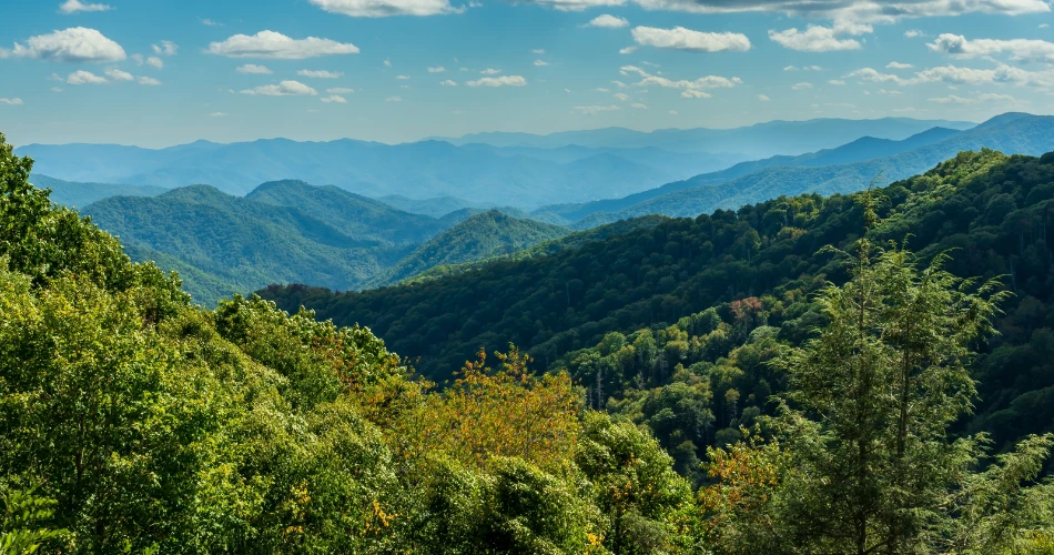 Top 20 Things to Do in Pigeon Forge