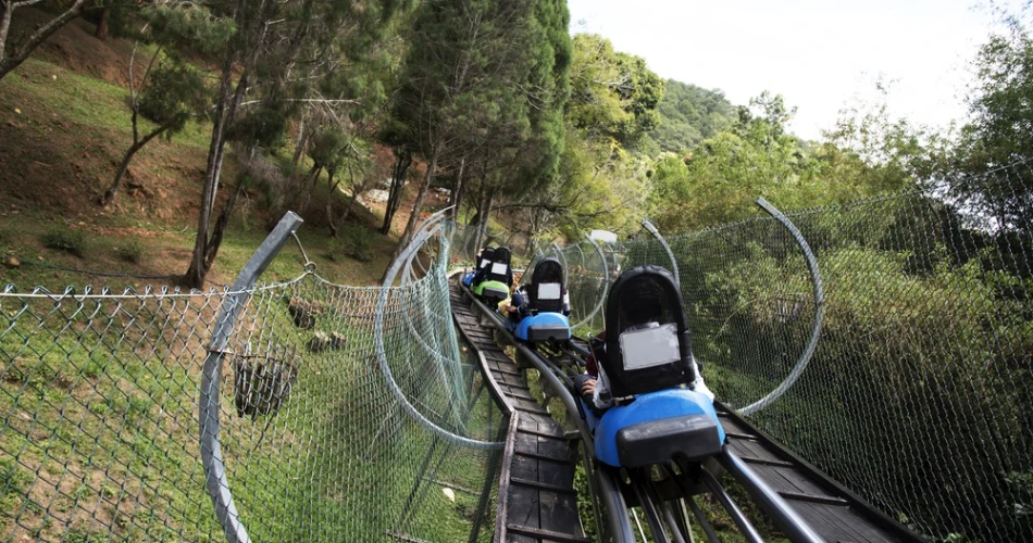 10 Best Attractions for Couples in Pigeon Forge