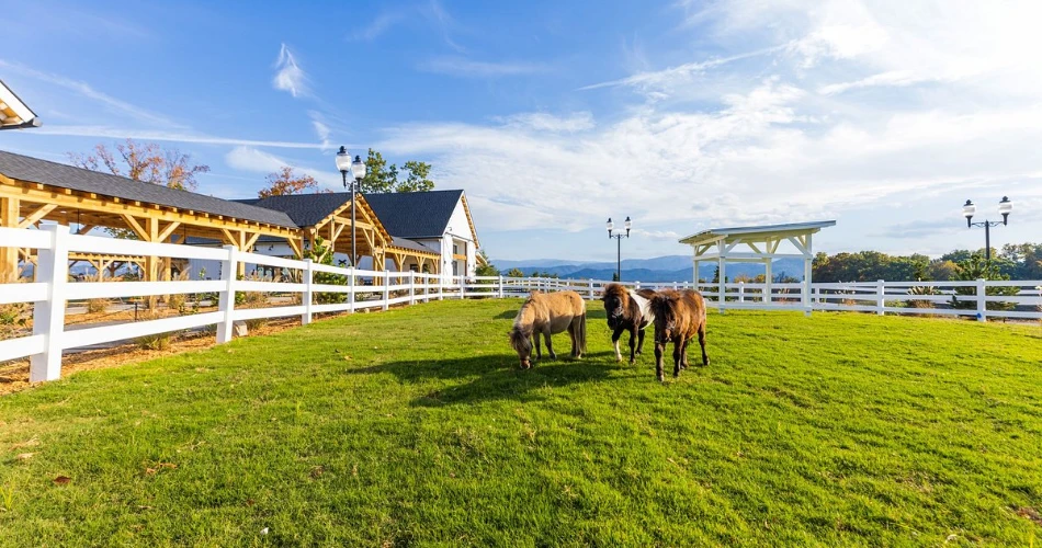 10 Best Attractions for Couples in Pigeon Forge
